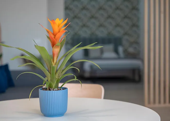 Loft The Ma Apartamento Costa Adeje (Tenerife)