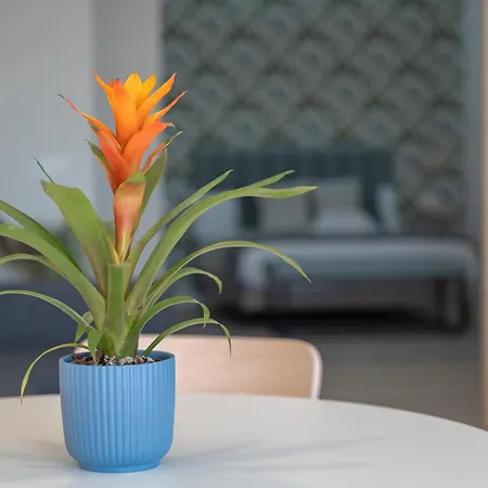 Loft The Ma Apartment Costa Adeje (Tenerife)